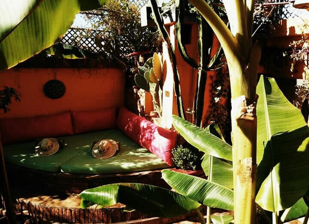 Riad Laith (Adults Only) Marraquexe Exterior foto