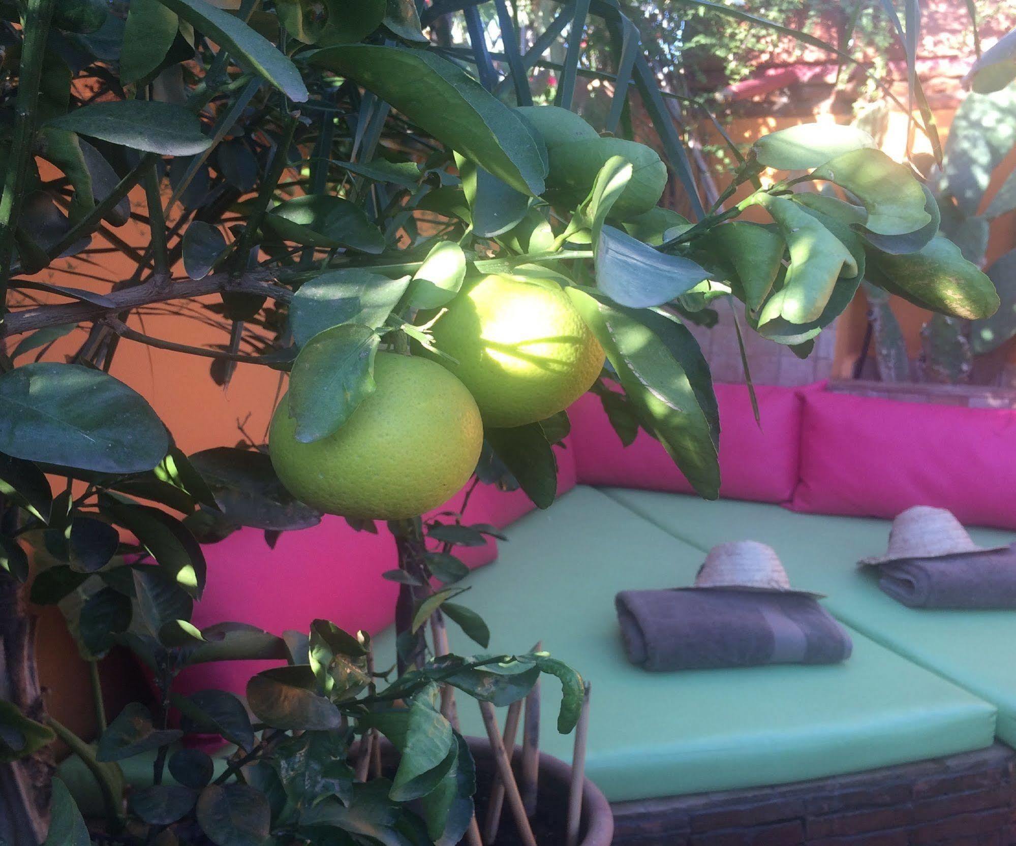 Riad Laith (Adults Only) Marraquexe Exterior foto